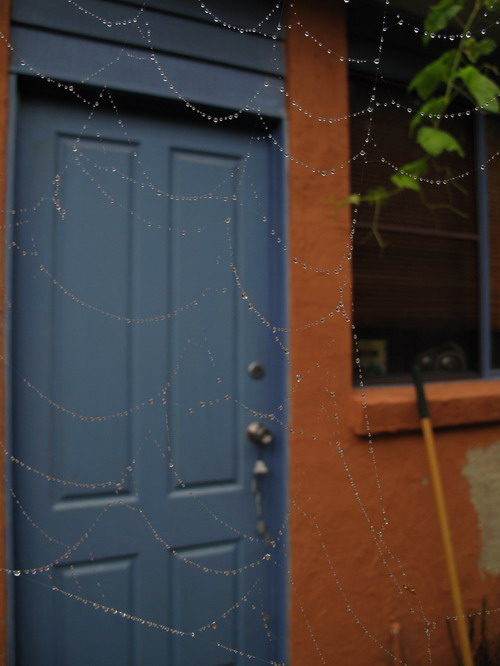 Beaded Spiderweb