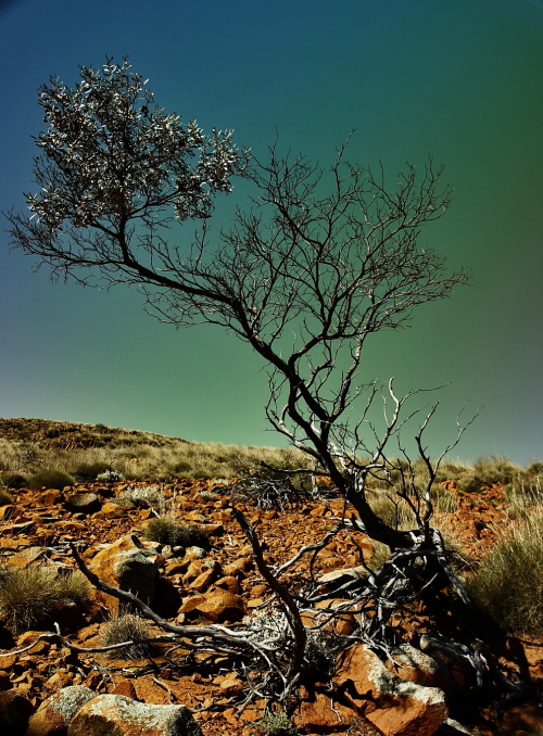 Landscapes around Mt Ive, South Australia