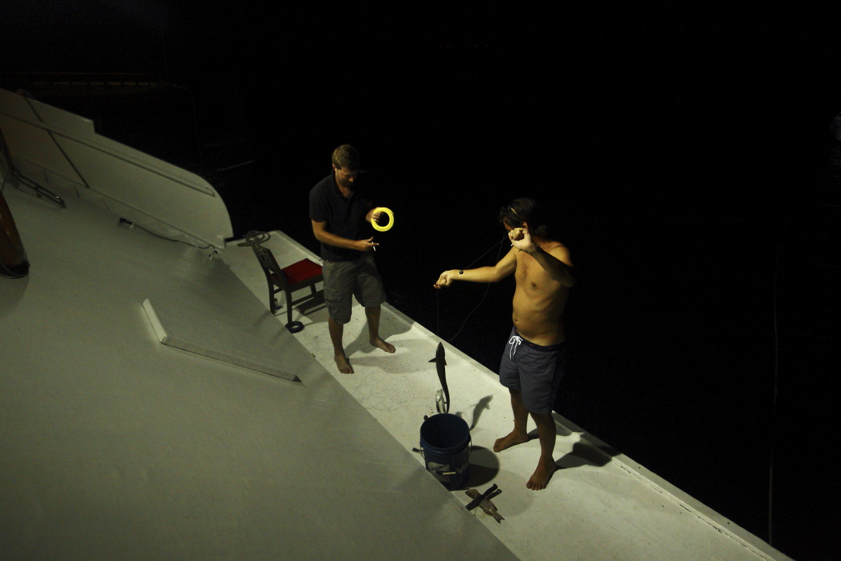 Tommy Hilfiger Surf Shack Maldives Gone Surfing Night fishing