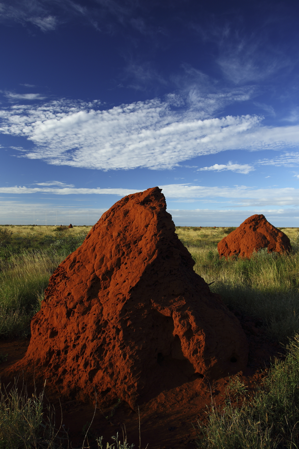 Exmouth Western Australia, North West Cape Termite hills