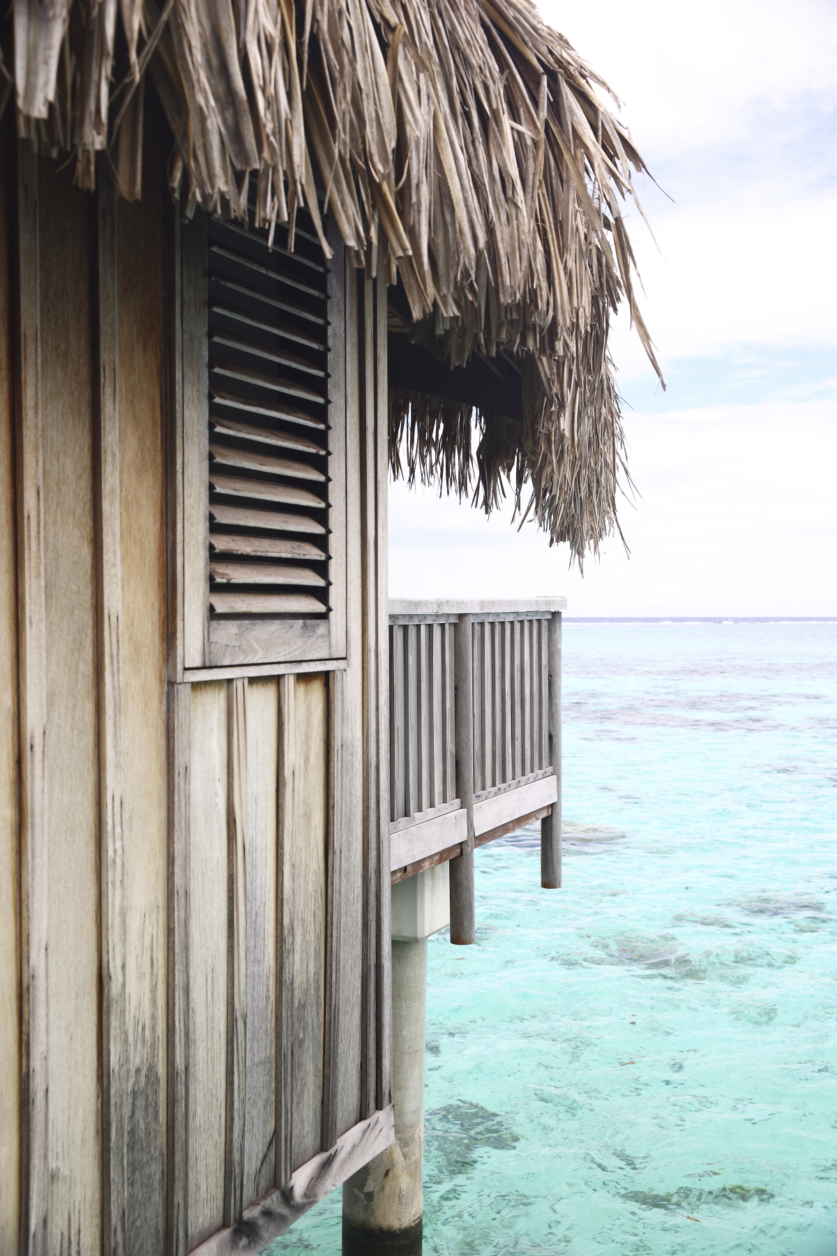 Waking up in an overwater bungalow - Sofitel Tahiti