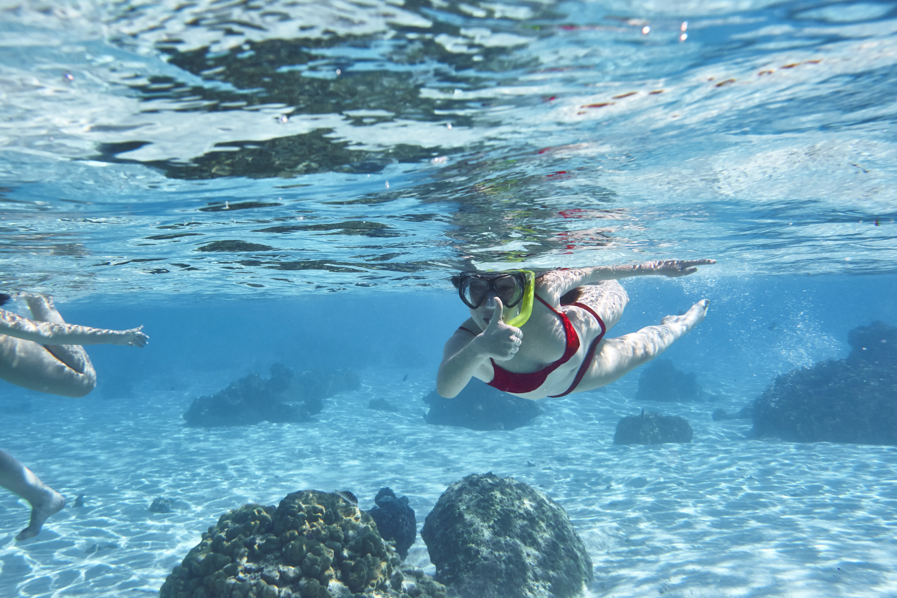 Temae Beach, Mo'orea, Tahiti, exploring underwater with Belle and India