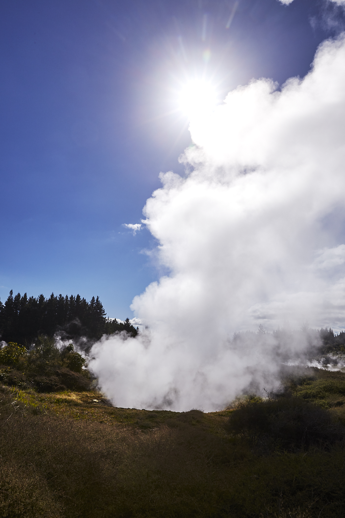 Craters of the moon landscape, Taupo, New Zealand