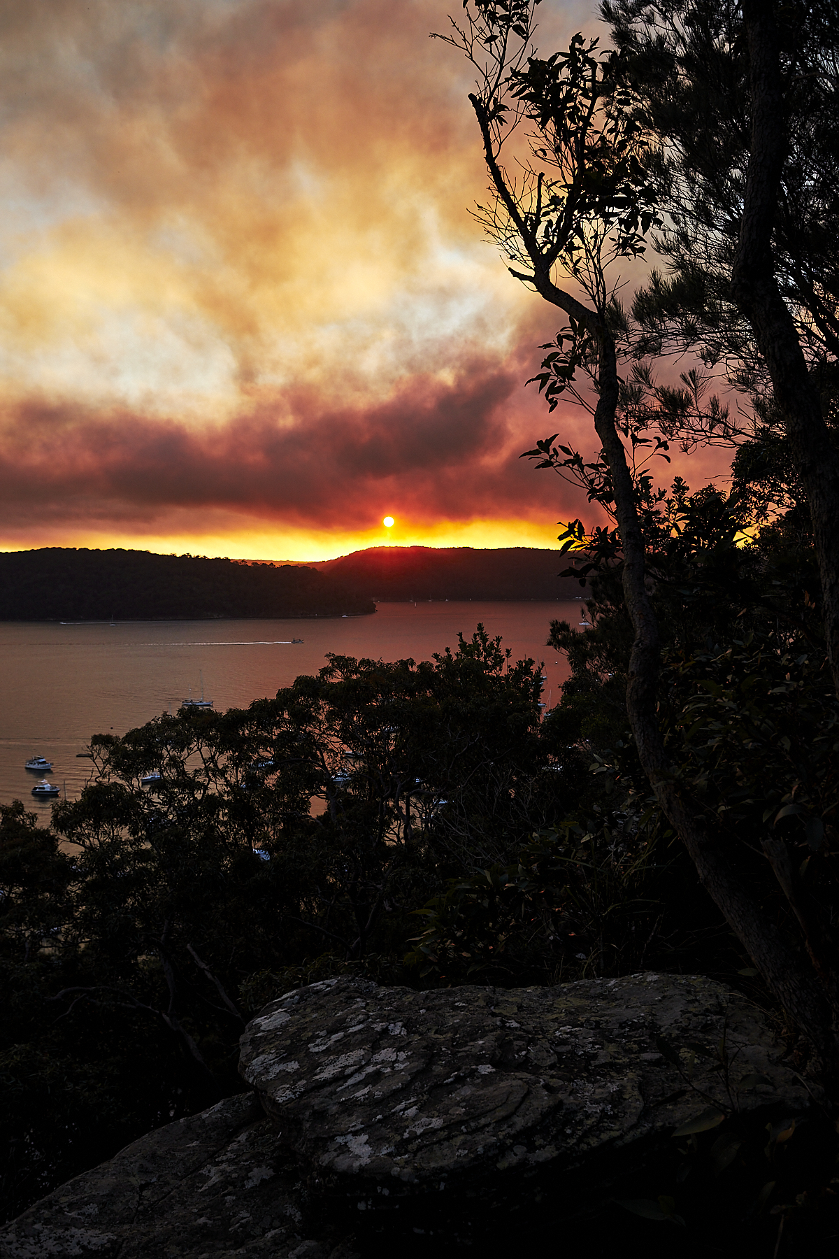 Back Burning in Ku-ring-gai National Park in the middle of Winter
