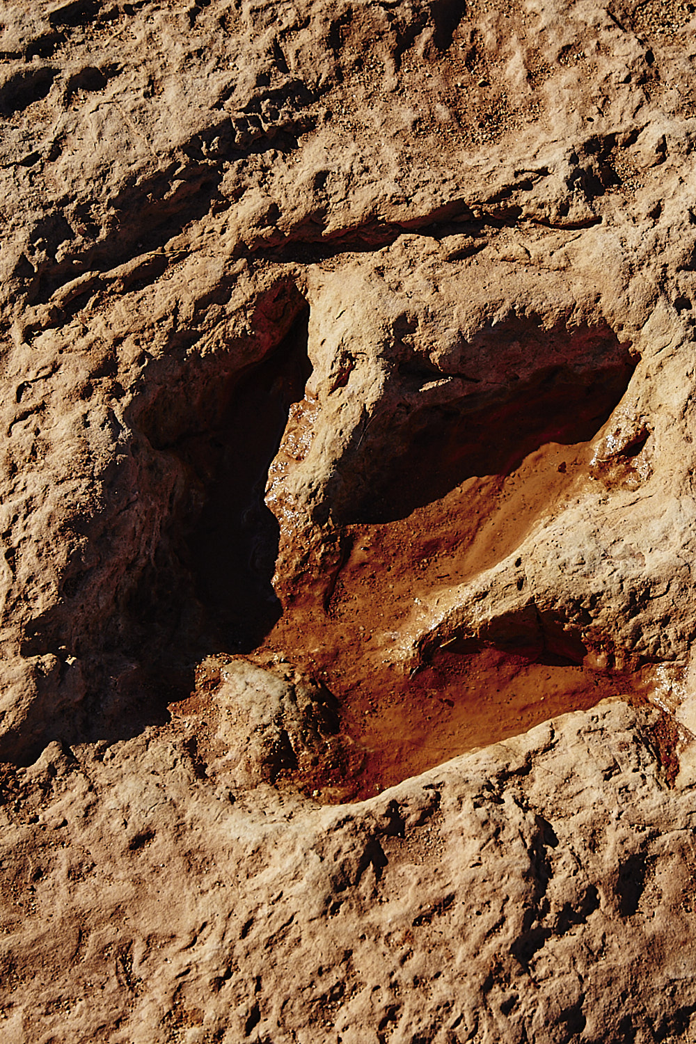Navajo Moenave Dinosaur Tracks - Heading to Monument Valley